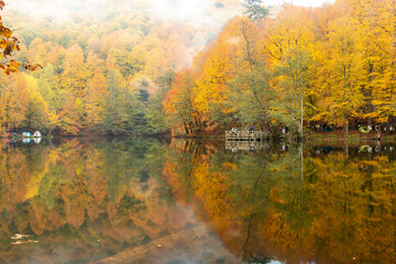 Fototapeta premium Autumn colors. Colorful fallen leaves in the lake. Magnificent landscape. Natonial Park. Yedigoller. Bolu, Istanbul, Turkey.