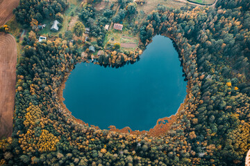 lake in the middle of forest