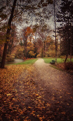 Munich Englischer Garten in autumn,beautiful park in the heart of the city to take a stroll in the nature