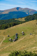 Fototapeta na wymiar Barn for sheep on the meadow Menchul. Montenegrin ridge, Carpathians, Ukraine. Vertical image. 