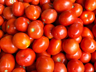 Fresh red tomatoes background. Group of red tomatoes.