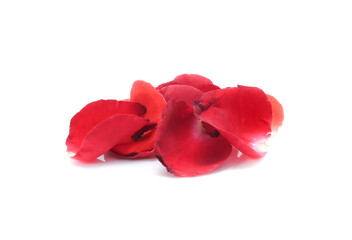 Red Rose isolated on white background