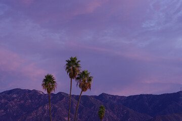 Fototapeta premium San Gabriel Mountain scene in Los Angeles County at dawn.