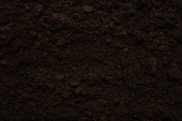 Black land for plant background.