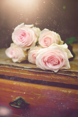 close up on a bunch of romantic pink roses lying on a vintage  wooden cupboard, with sunlight dust in the air and dreamy effect
