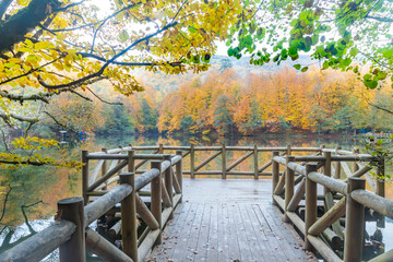 Fototapeta na wymiar Autumn colors. Colorful fallen leaves in the lake. Magnificent landscape. Natonial Park. Yedigoller. Bolu, Istanbul, Turkey.