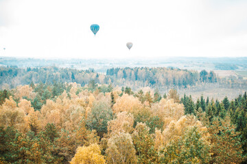 hot air balloon in the sky