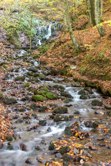 Autumn colors. Colorful fallen leaves in the lake. Magnificent landscape. Natonial Park. Yedigoller. Bolu, Istanbul, Turkey.