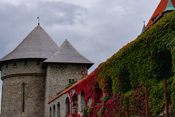  Smolenice castle in Slovakia on the rise, red and green, Europe
