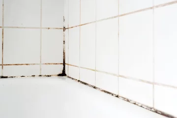 Fotobehang Mould in a bathroom. © Marcus Krauss