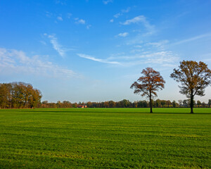 Rural landscape in autumn colors near Winterswijk, Netherlands
