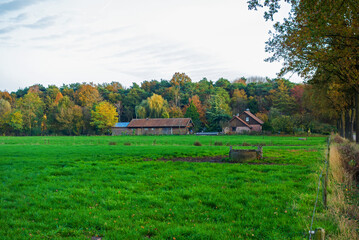 Rural landscape in autumn colors near Winterswijk, Netherlands
