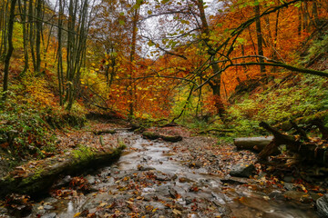 Bach in einer Schlucht bei Winterberg