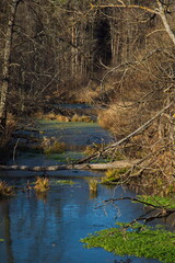 Lama river near the village of Yaropolets in late autumn, Moscow region of Russia.