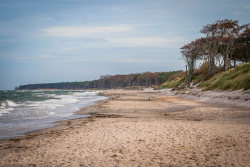 Beach at the Baltic Sea in Mecklenburg-Western Pomerania, Germany