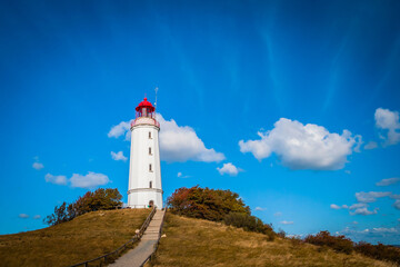 Fototapeta na wymiar Lighthouse Thornbush at the island of Hiddensee, German Baltic Sea