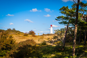 Lighthouse Thornbush at the island of Hiddensee, German Baltic Sea