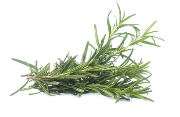 Fototapeta premium rosemary isolated on white background