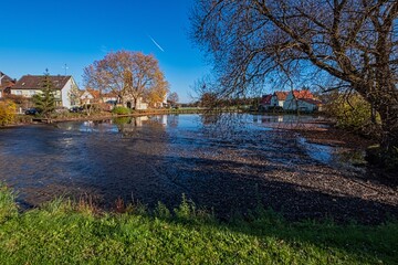 Obraz premium Dorfteich mit Baum vor blauem Himmel