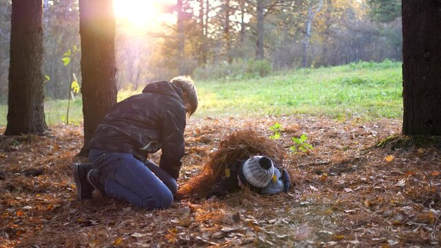 Children play in the pine Park, run around the trees, throw leaves. The sun's rays penetrate the pine forest. The laughter and joy of the family.