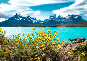 lake in the mountains Patagonia meadows in Chile