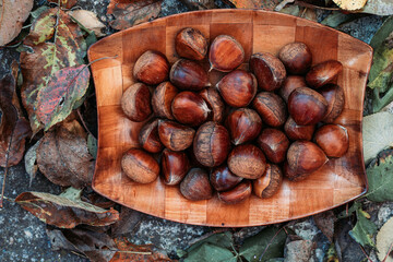Top view of raw chestnuts in wooden dish surrounded with dry leaves.