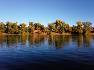 Levee on the Sacramento river with fall color 