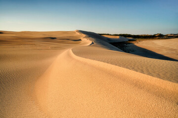 Moving dunes, Slowinski National Park, Poland, Leba	
