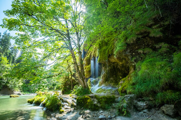 Green Paradise at the little Waterfall in the Ammergauer Alps, Germany