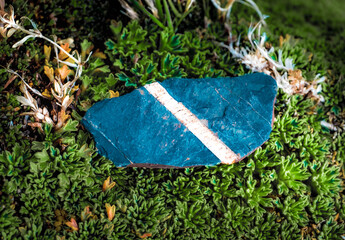 sign on the grass