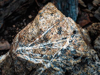 stone on the beach