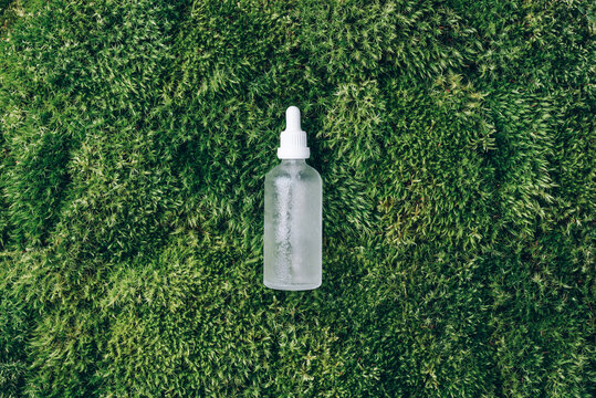 Transparent glass bottle with serum, essential oil, cosmetic product on green grass, moss background. Top view. Natural organic, spa cosmetic concept. Biophilia design. Alternative beauty treatment