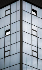 windows of building