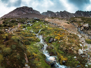 landscape with river