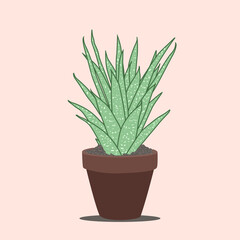 green cactus, snake plant on brown pot vector illustration drawing, isolated. editable, arranging in layers. 