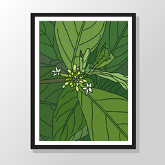 Plant line drawing doodle vector, Green plant leaves on wall poster preview vector, editable, scalable, arrange in layers. 