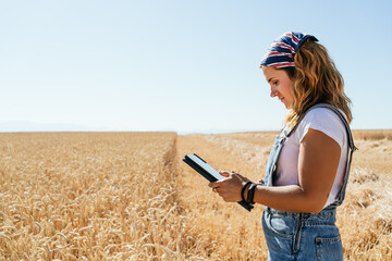 Side view of positive focused female farmer in overalls standing in wheat field in countryside and browsing tablet