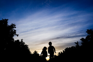 Fototapeta na wymiar Two brothers run together through a field between trees, at sunset in silhouette.