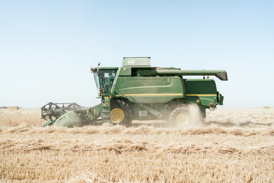 Heavy combine machine collecting wheat in dry field in countryside in harvest season