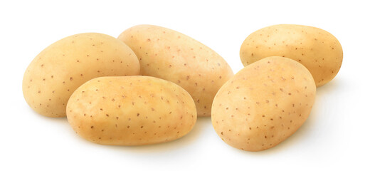 Five raw washed potatoes in a row isolated on white background
