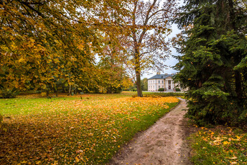Naklejka premium Autumn trees alley with colorful leaves in the park