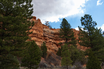 Red Canyon, Utah