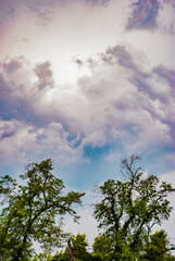 clouds over the forest