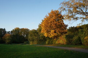 Park am &Ouml;lteich im November in Bielefeld