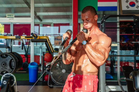 Powerful male athlete with sweaty naked torso pulling ropes of cable machine and pumping biceps while training in modern gym