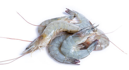 shrimp isolated on white background