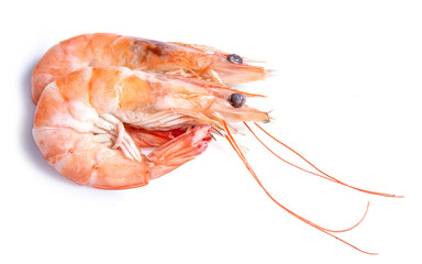 shrimp isolated on white background