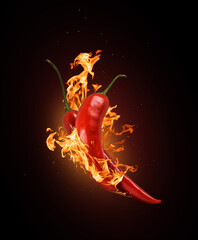 Two red chili peppers in a burning flame close-up on a black background.