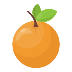 
A citrus and healthy fruit rich in vitamin c, an orange

