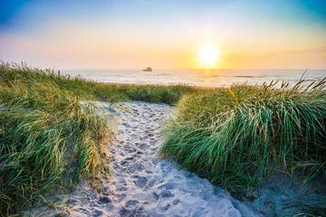 Tuinposter Fußweg durch die Dünen zum Strand bei Sonnenuntergang © RuZi